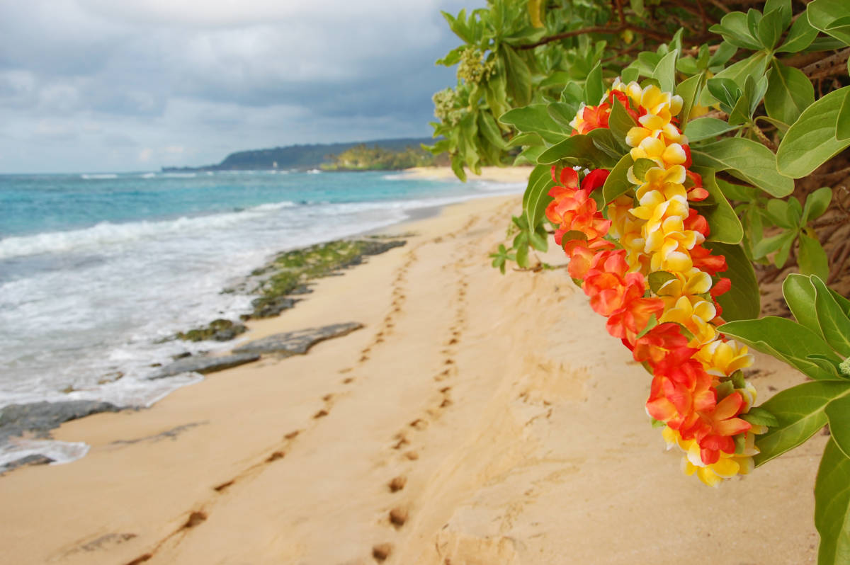 https://www.flowers.com/blog/wp content/uploads///The History of Leis